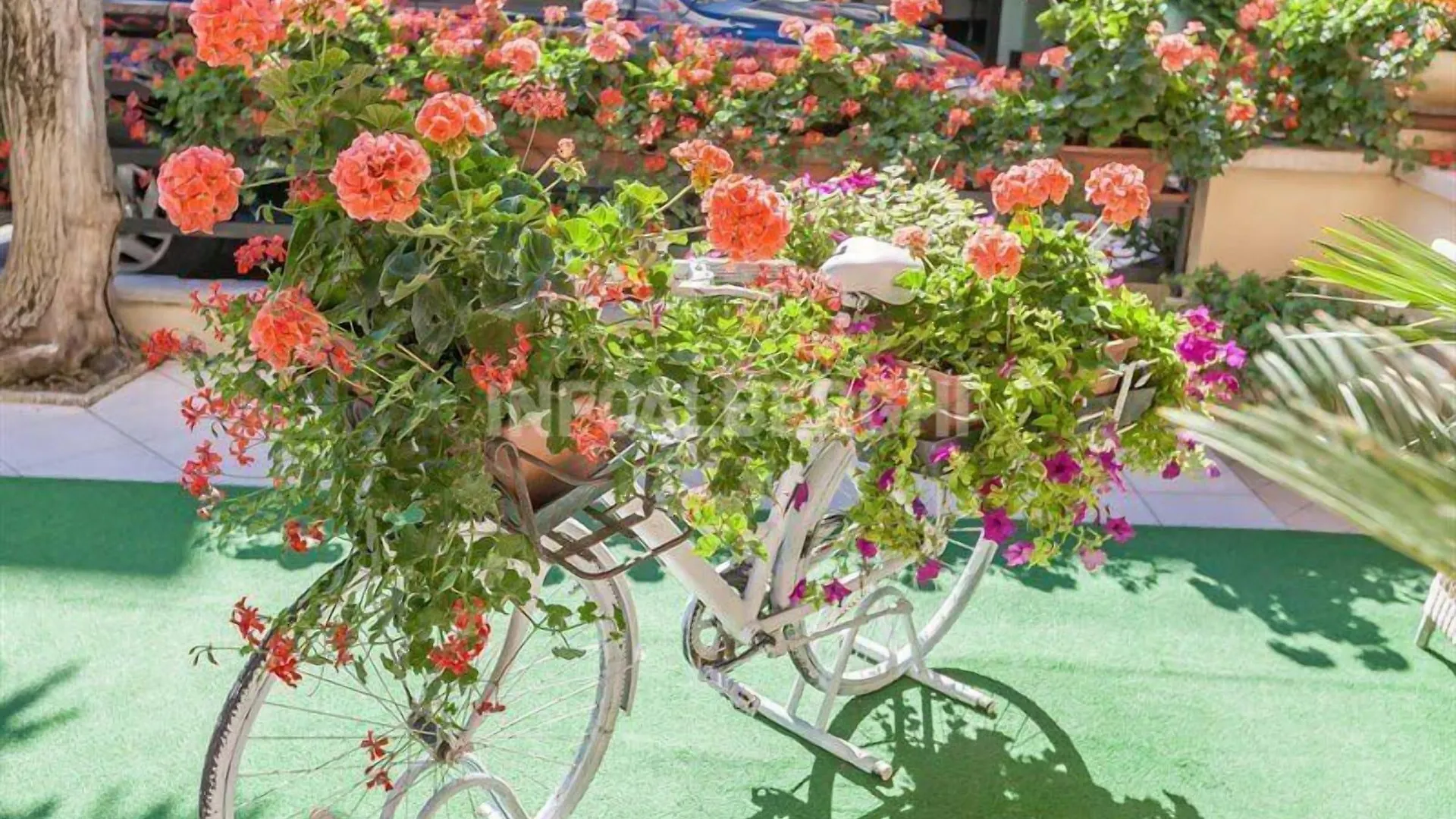 Hotel River Rimini